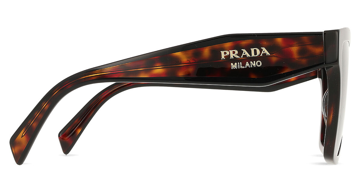 Prada PR 24ZS 17N40L Square Root Tortoise Sunglasses