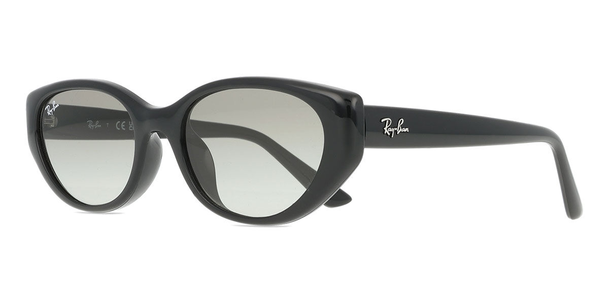 Ray-Ban RB4457D Asian Fit 667711 Cat Eye Black Sunglasses