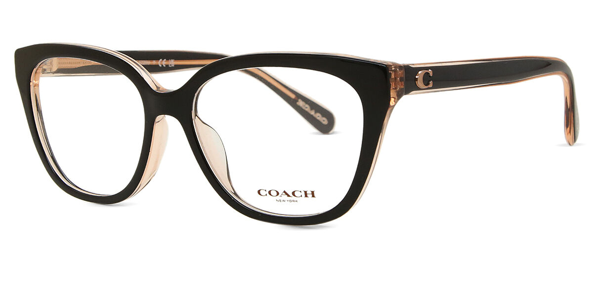 Coach HC6226U 5781 Square Black on Transparent Powder Brown